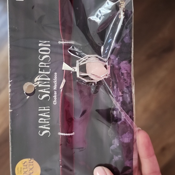 Hocus Pocus Sarah Costume - Picture 4 of 5